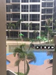 Palm Isles (D17), Condominium #604003231